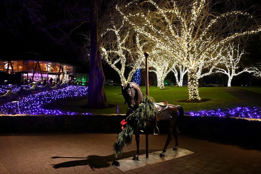 The Magic of Christmas at the Butchart Gardens - Entering a garden built for the holidays