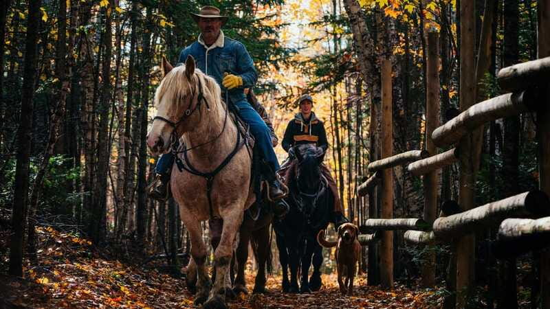 The Montagnarde: Guided horseback ride on mountain trails. - A fair look at the $122 price