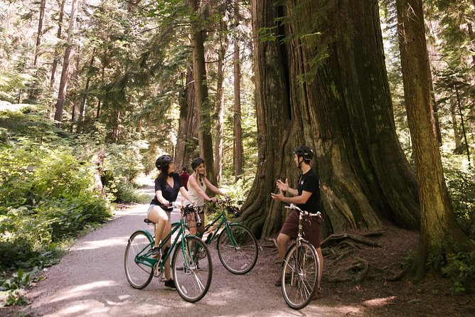 The Stanley Park Bicycle Tour by Cycle City Tours - Forest trails, Beaver Lake, and the old cedar
