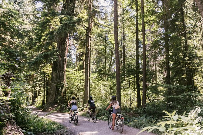 The Stanley Park Bicycle Tour by Cycle City Tours - Riding from downtown toward Stanley Park