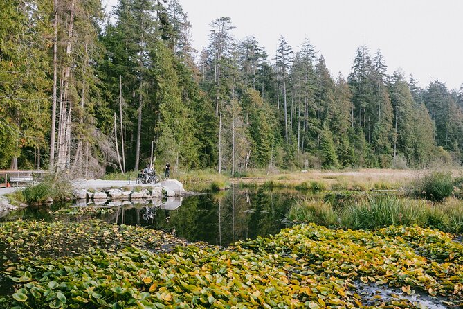 The Stanley Park Family Tour by Cycle City Tours - English Bay and the seawall: an easy family opening