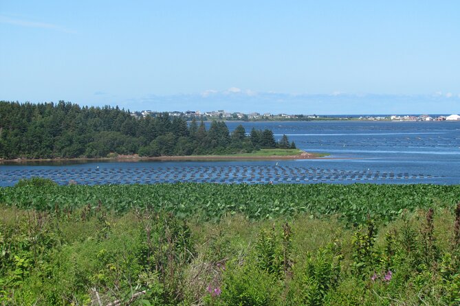 The Ultimate Anne of Green Gables Private Tour - Green Gables in Cavendish