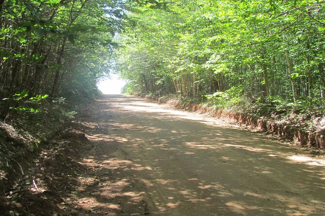The Ultimate Anne of Green Gables Private Tour - Cavendish Beach and North Rustico Harbour