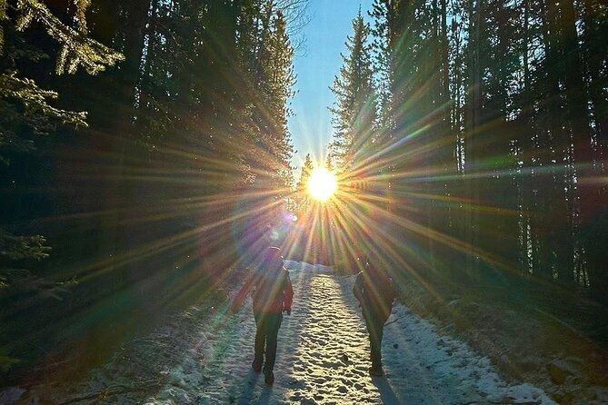The Ultimate Calgary Experience: Music, Culture & Hidden Nature - Peace Bridge and the Bow River: Calgary’s best wide views