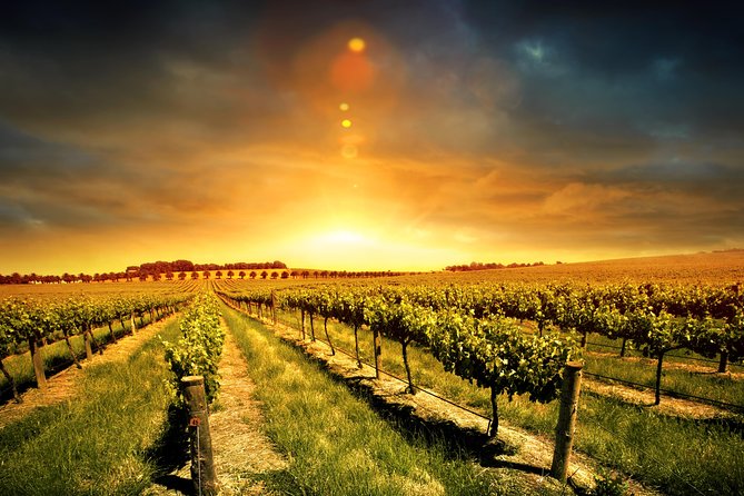 Three Courses Lunch and Wine Tour Through Niagara's Wine Country - The first winery sets the pace