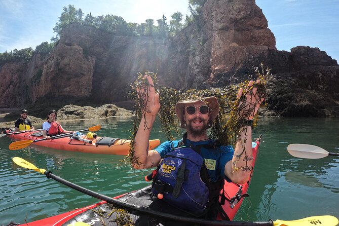 Three Sisters Sea Kayaking Day Tour - Who Will Enjoy This Day on the Water?