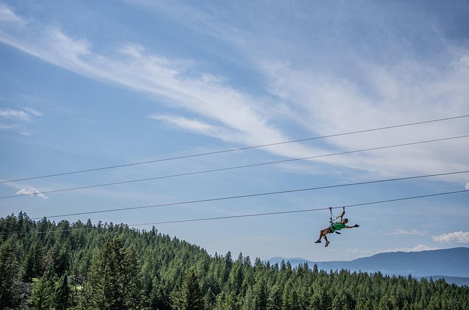 Thrilling 2-Hour Zipline Tour in Radium Hot Springs - The final double zip reaches 50 km/h
