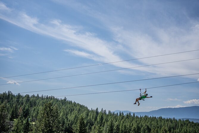 Thrilling 2-Hour Zipline Tour in Radium Hot Springs - A short walk brings you back
