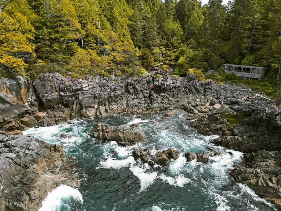 Tofino: Hot Springs Cove Tour with Wildlife Cruise - The boat ride makes this more than a hot-spring visit