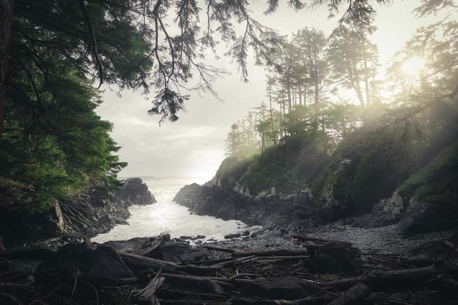 Tofino: Hot Springs Cove Tour with Wildlife Cruise - Hot Springs Cove gives you about two hours to slow down
