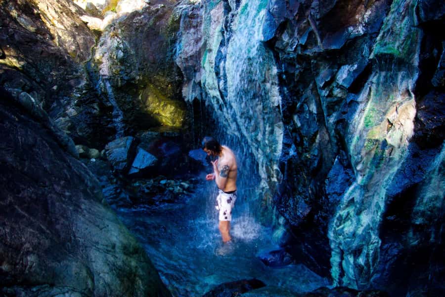 Tofino: Hot Springs Cove Tour with Wildlife Cruise - Is $226 a fair price?