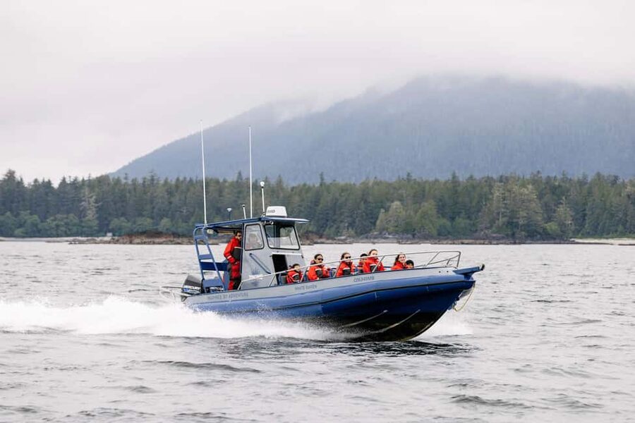 Tofino: Whale Watching Tour with Nature Guide - Following Tofino’s coast toward the feeding grounds