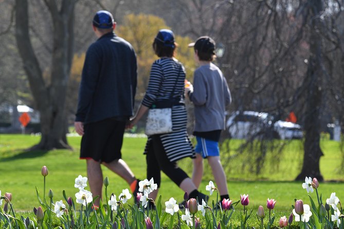 Toronto Airport to Niagara Falls Tour, Boat Ride and Journey - Niagara-on-the-Lake adds a gentler hour