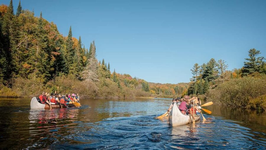 Toronto: Algonquin Park and Ragged Falls Day Trip - Key points at a glance