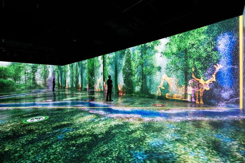 Toronto: Arcadia Earth, Immersive Experience Anytime Ticket - Key points to know before you go