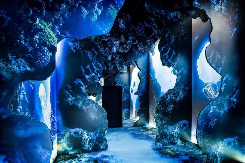 Toronto: Arcadia Earth, Immersive Experience Anytime Ticket - What Arcadia Earth Toronto is trying to do