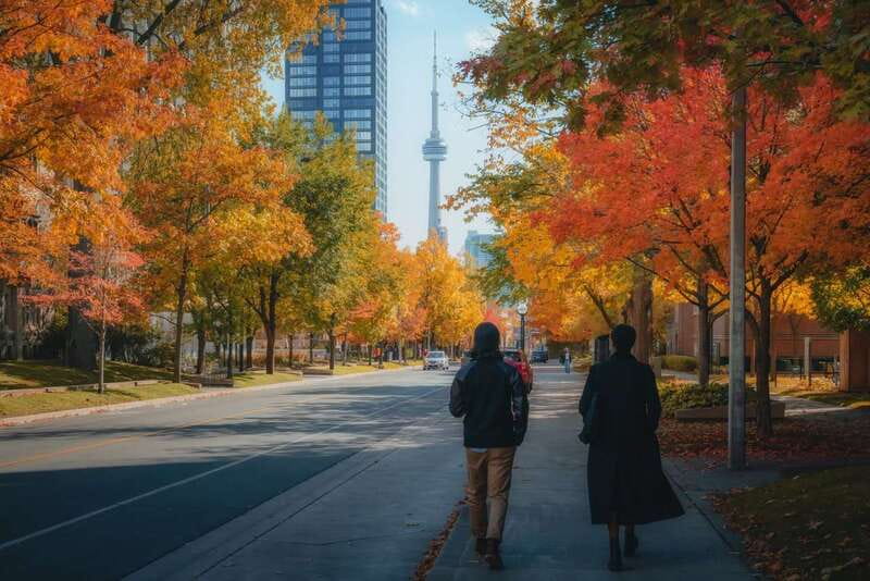 Toronto: City Highlights Walking Tour | 3-Hour - The final photo stop and Union Station finish
