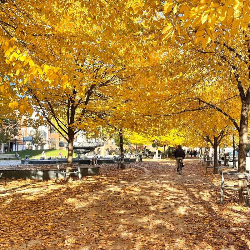 Toronto: City Walking Tour - Key points to know before booking