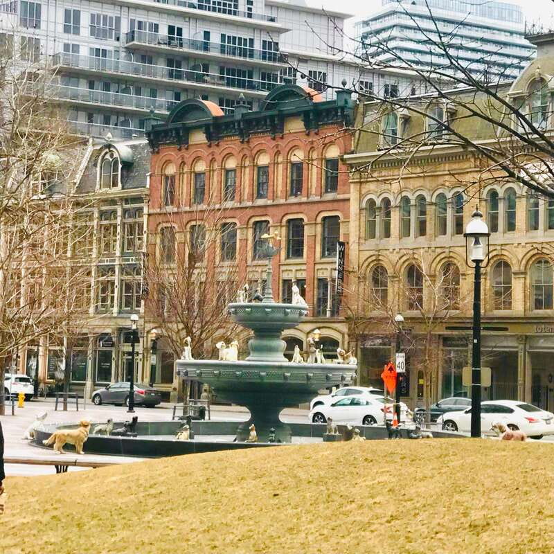 Toronto: City Walking Tour - What $38 buys you