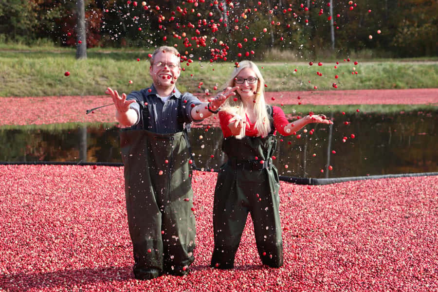 Toronto: Muskoka Cranberry Farm and Hardy Lake Hike - The Drive North and the Gravenhurst Break