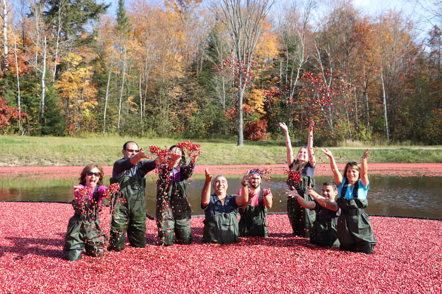 Toronto: Muskoka Cranberry Farm and Hardy Lake Hike - Guides Who Keep the Day Moving