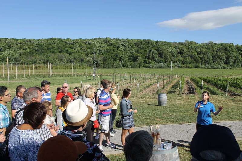Toronto: Niagara Falls Day Tour with Boat Option - Niagara-on-the-Lake brings a quieter change of pace