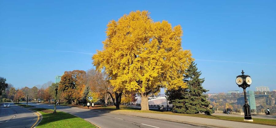 Toronto: Niagara Falls & NOTL Heritage Town Guided Day Tour - Hornblower Niagara Cruises and Skylon Tower