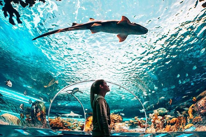 Toronto, Niagara Falls & Thousand Islands VIP 2–Day Trip - What this Montreal tour does well