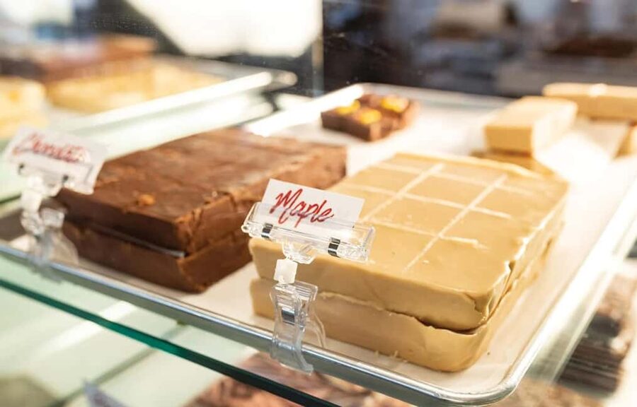 Toronto: Niagara-on-the-Lake, Wine Tasting & Chocolate Tour - Who should book this day trip?