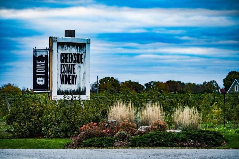 Toronto: Niagara Wineries Tasting Tour & Optional Lunch - Small-group service and guide quality