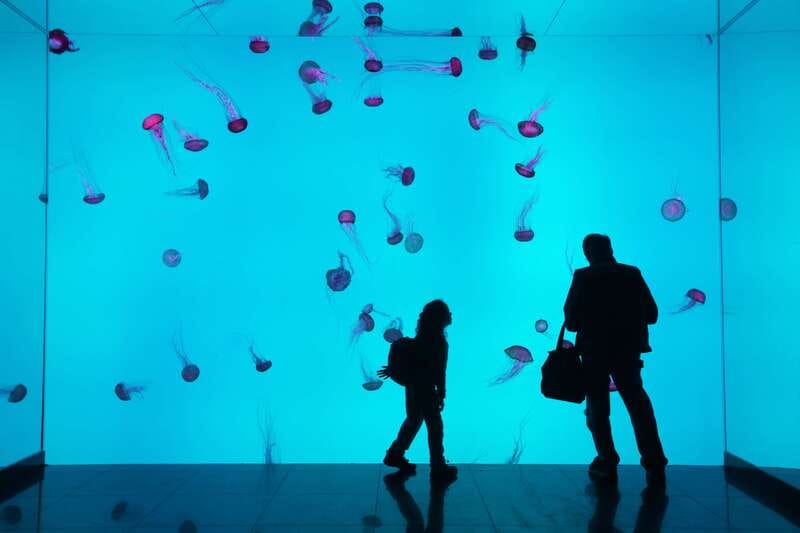 Toronto: Ripley's Aquarium of Canada Entry Ticket - Key points to know before you go