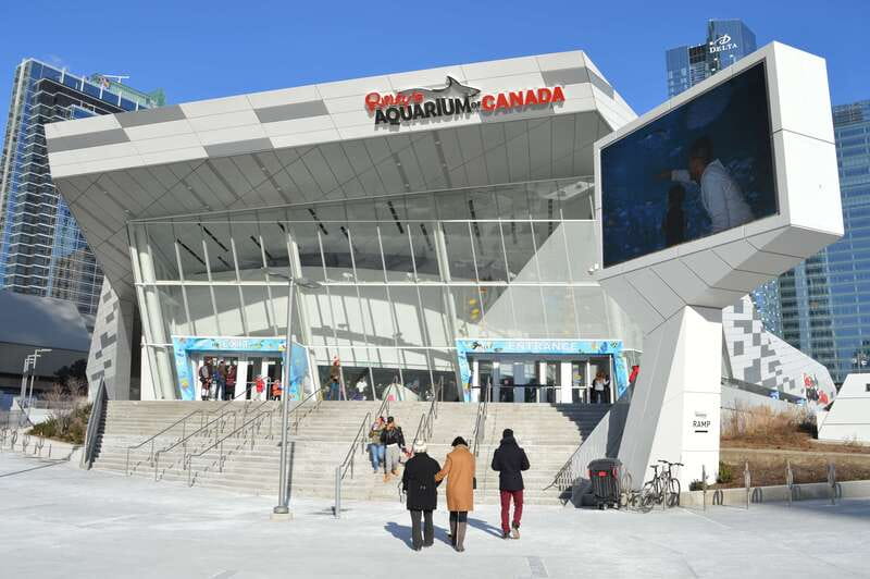 Toronto: Ripley's Aquarium of Canada Entry Ticket - Planet Jellies slows the pace