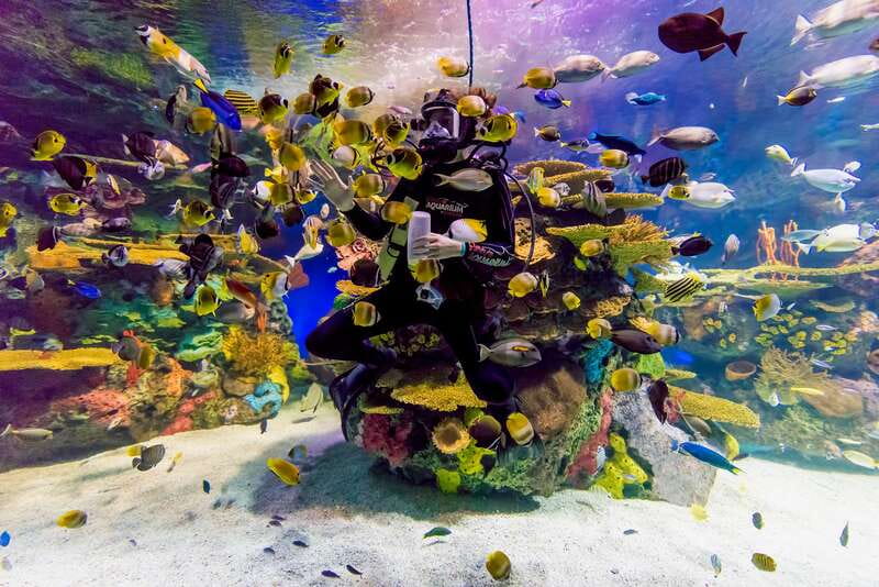 Toronto: Ripley's Aquarium of Canada Entry Ticket - How long should you allow?