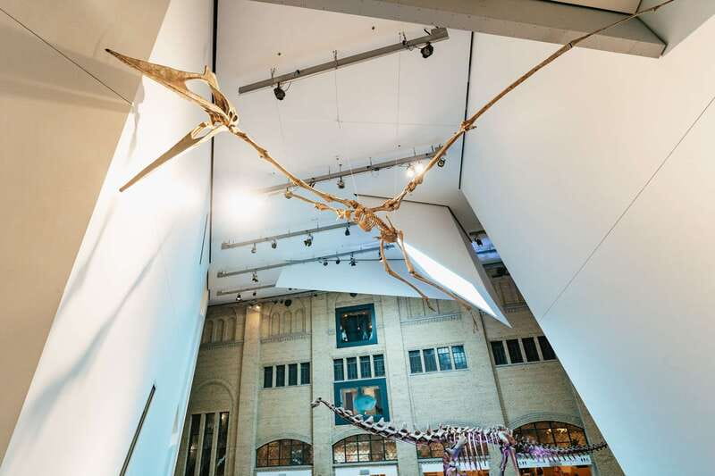 Toronto: Royal Ontario Museum Admission Ticket - Key Points Before You Go