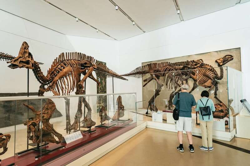 Toronto: Royal Ontario Museum Admission Ticket - Why the Royal Ontario Museum Is Worth Your Time