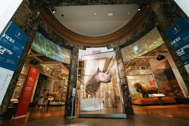 Toronto: Royal Ontario Museum Admission Ticket - Dinosaurs, Fossils, and the Origins of Life