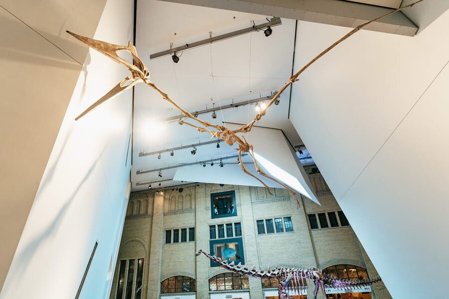 Toronto: Royal Ontario Museum Admission Ticket - Chinese Art and the Ming Tomb