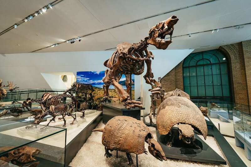 Toronto: Royal Ontario Museum Admission Ticket - First Peoples Galleries and Canadian Context