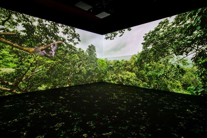 Toronto: Royal Ontario Museum Special Exhibits Voucher - Special exhibitions worth planning around