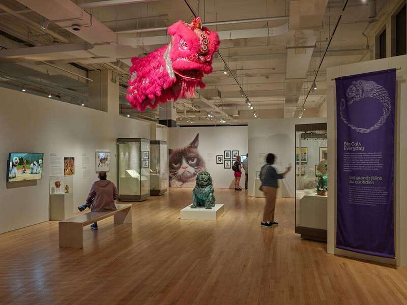 Toronto: Royal Ontario Museum Special Exhibits Voucher - How to handle crowds and your one-day visit
