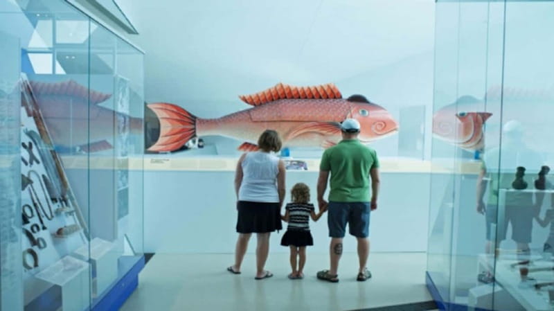 Toronto: Royal Ontario Museum Special Exhibits Voucher - Why the $25 price can make sense
