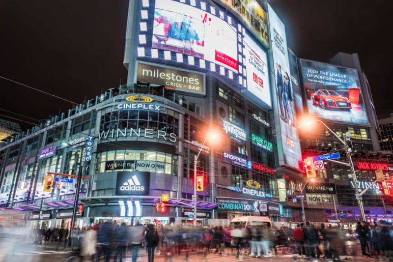 Toronto: Small Group Night Tour with Harbour Boat Cruise - Guide quality makes the difference