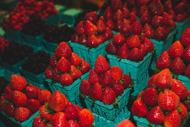 Toronto: St Lawrence Market Food Tour with 6 Food Tastings - Who will enjoy this food walk most?