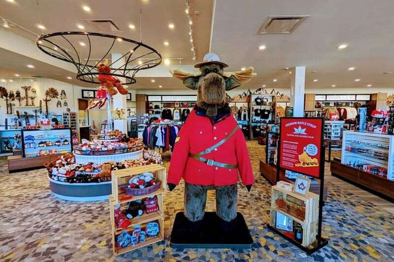 Toronto to Niagara Falls: Boat Ride & Behind the falls Tour - Who should choose this Niagara day trip?