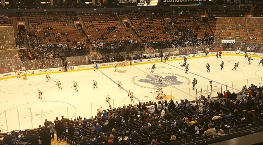 Toronto: Toronto Maple Leafs Game Ticket at Scotiabank Arena - Who will enjoy this experience most?