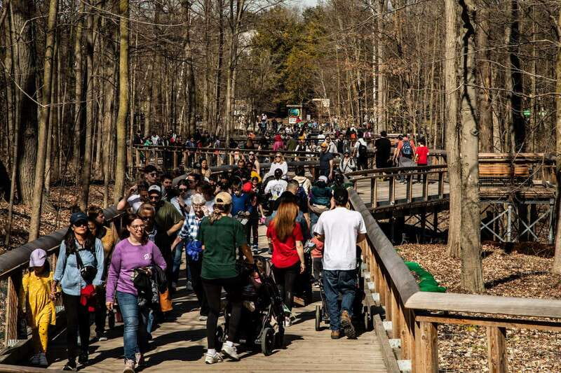 Toronto: Toronto Zoo Entry Ticket - Key points to know before you go