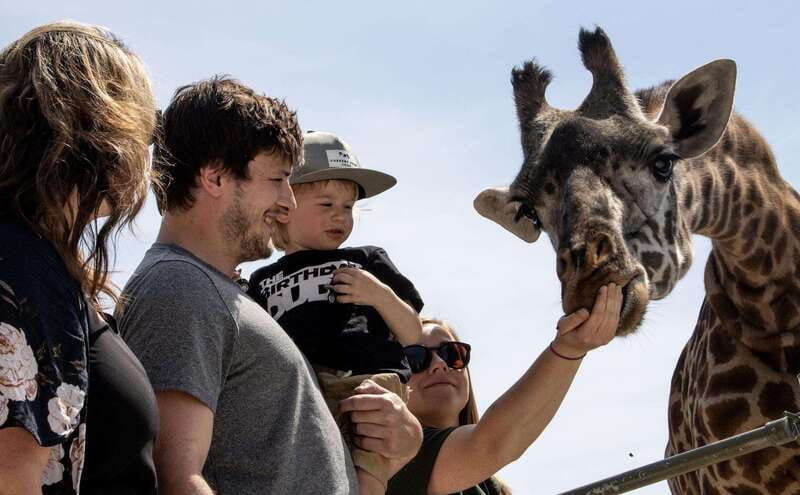 Toronto: Toronto Zoo Entry Ticket - Seven regions give your day a useful structure
