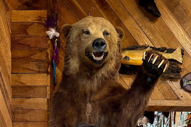 Town of Banff Highlights 2 Hour Walking Tour | Gratuity-Based - Banff Park Museum: natural history in an old setting