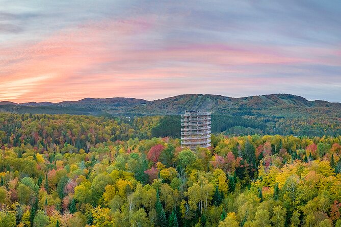Treetop Observatory and Walk - How Much Value Do You Get for $32.39?