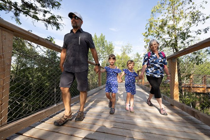 Treetop Observatory and Walk - Who Will Enjoy This Walk Most?